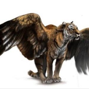 Meet your Posher, Johnny